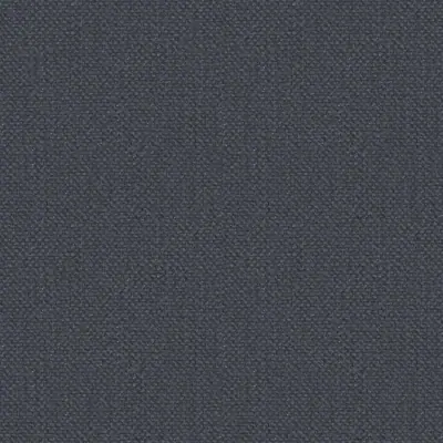 Klee Col. 5511